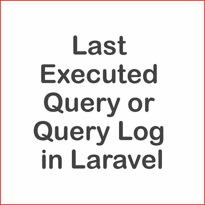 How to Print the Last Executed Query or Query Log in Laravel 9?